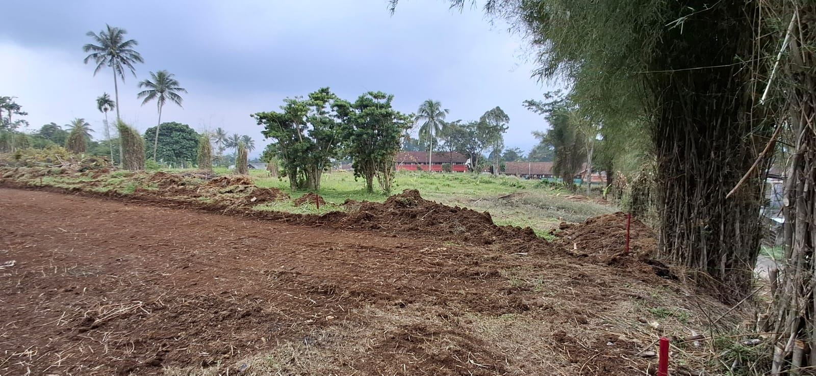 Foto properti